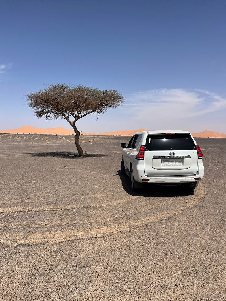 5 Días Ruta de las Mil Kasbahs - Aventura Nomad Ruh en el Desierto (viaje privado)