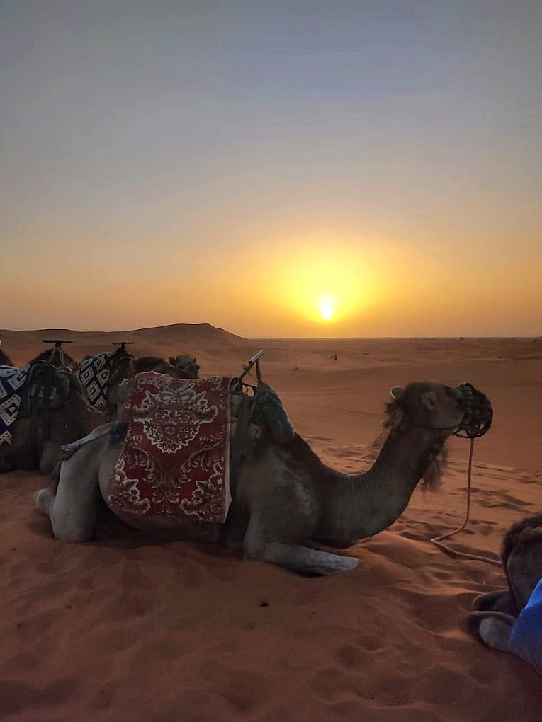 5 Días Ruta de las Mil Kasbahs - Aventura Nomad Ruh en el Desierto (viaje privado)