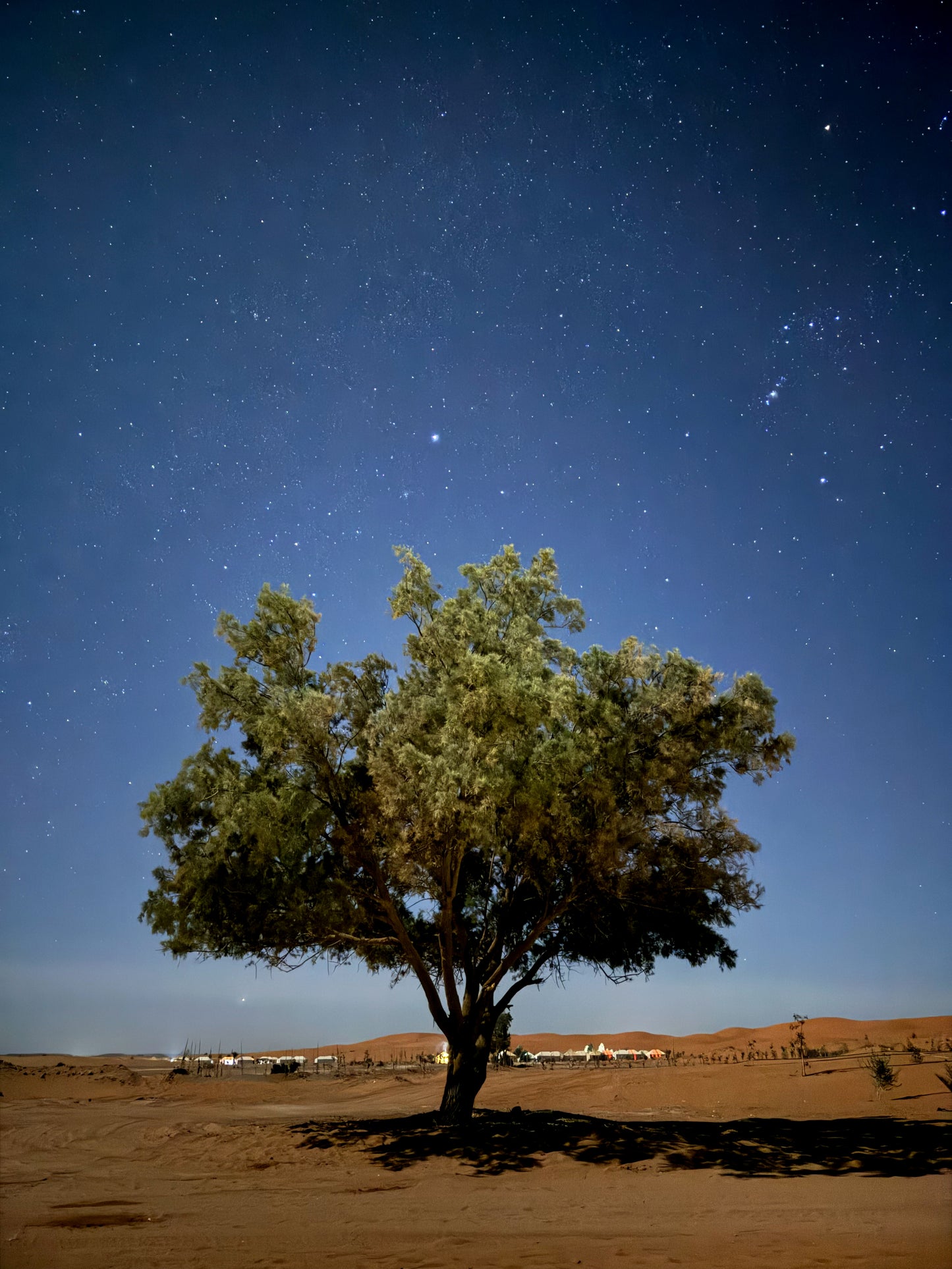 5 días Marrakech y desierto de Merzouga - Desde 350 euros (Deluxe)
