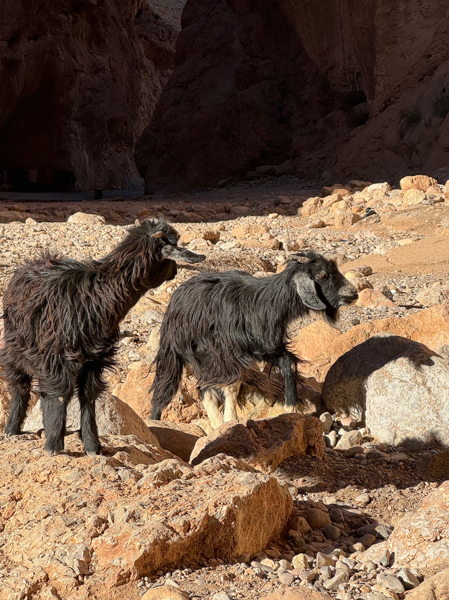 Excursión de 3 días al desierto de Merzouga - Premium