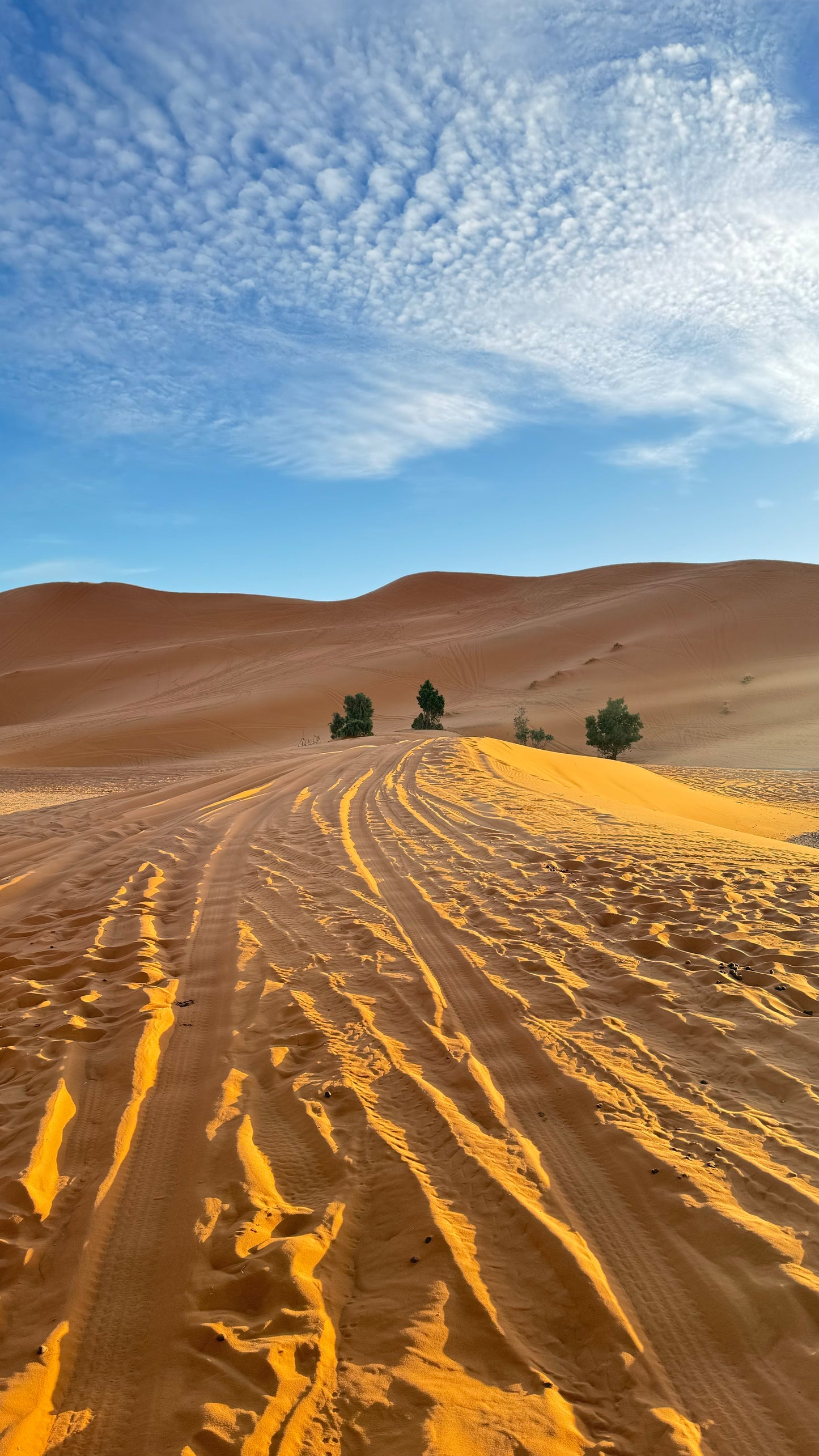 5 days Marrakech and Merzouga desert - From 350 euros (Deluxe)